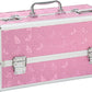 BMS | Lockable Large Vibrator Case - Pink